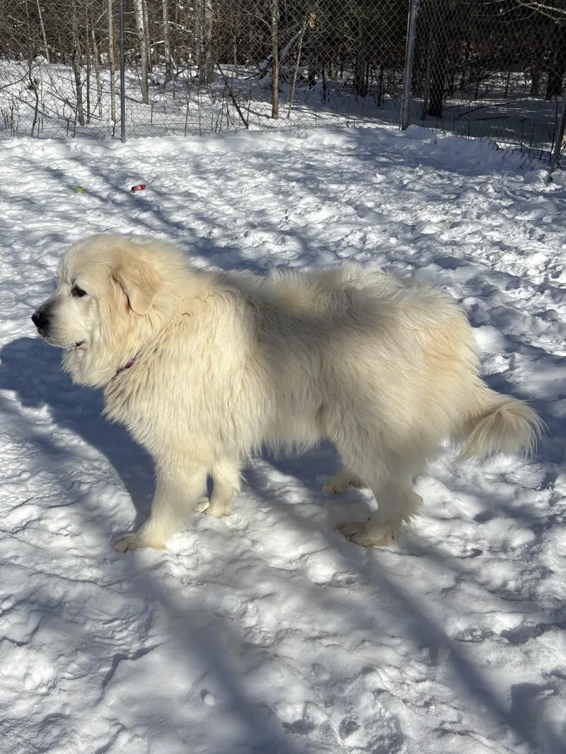 Sava And Katie thumbnail 4