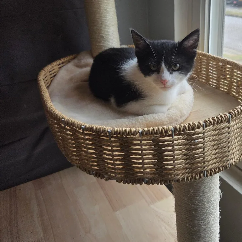 Solstice thumbnail 3