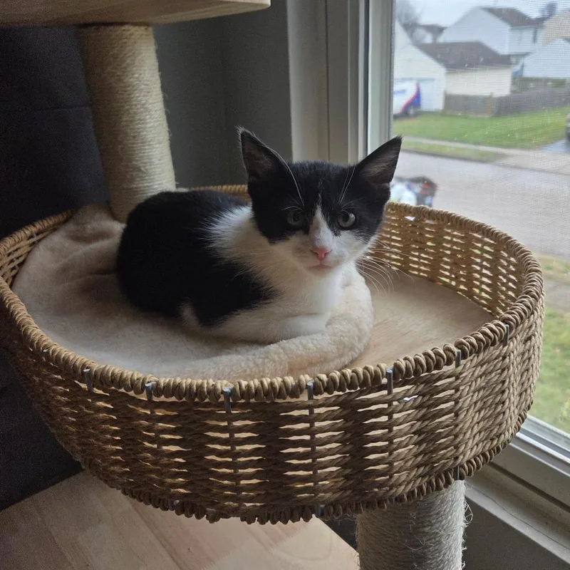 Solstice thumbnail 4