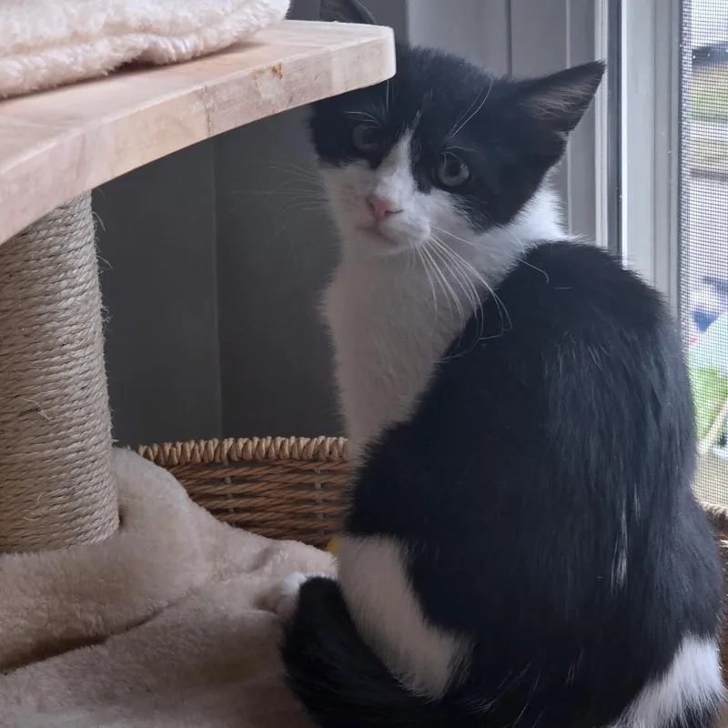 Solstice thumbnail 5