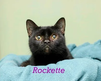 Rockette