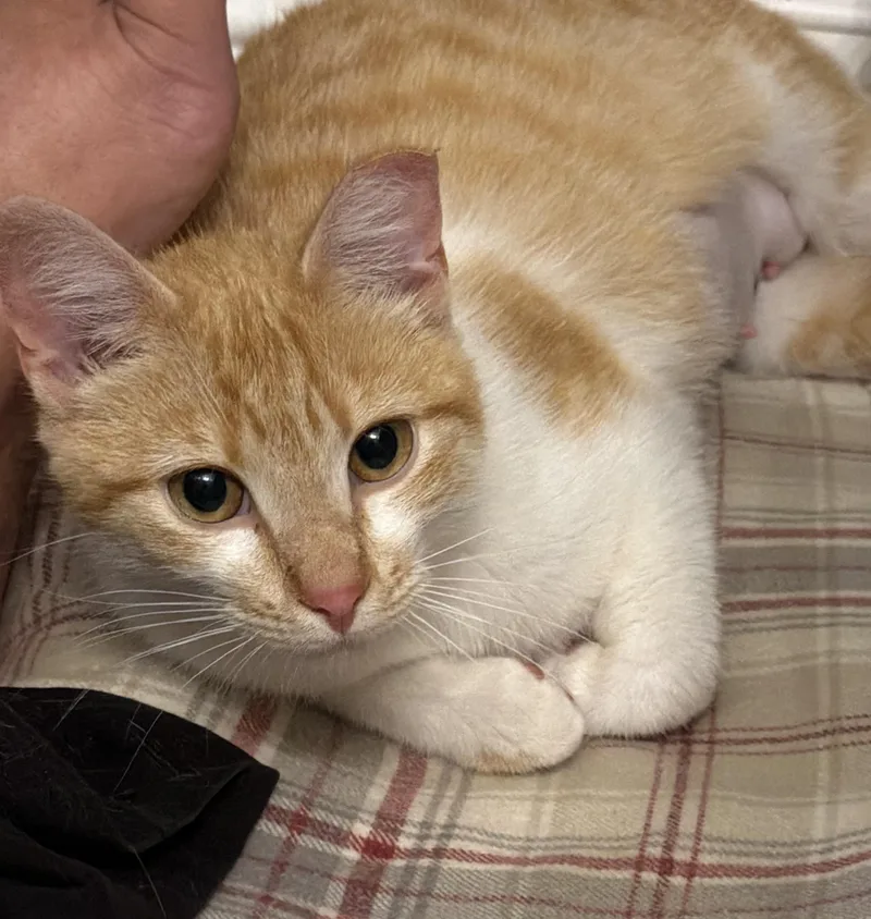 Sunshine thumbnail 2