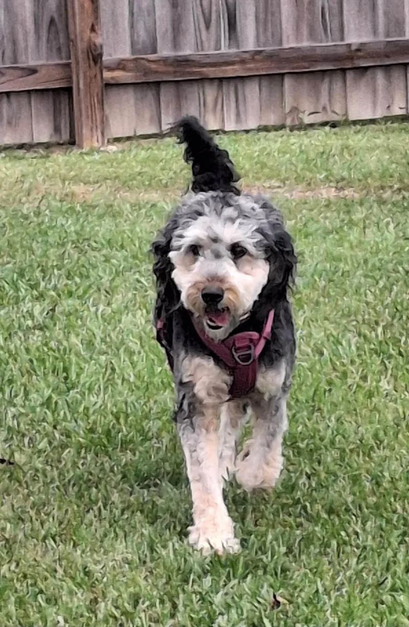 Maggie