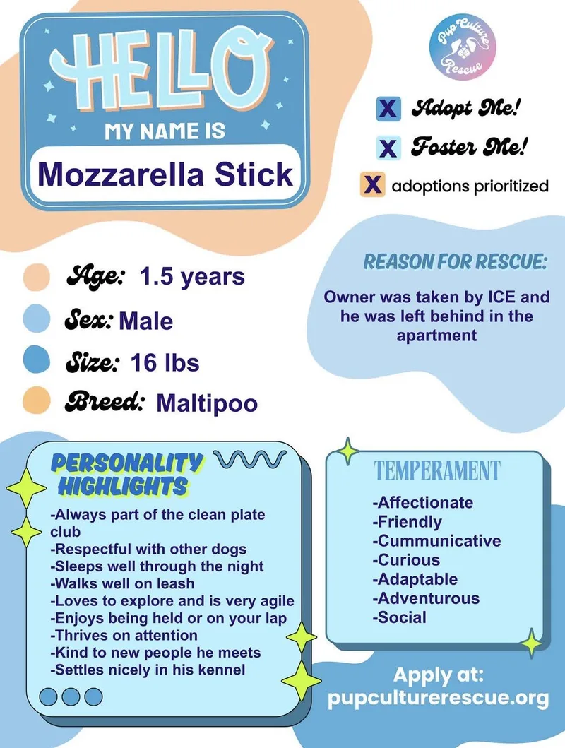 Mozzarella Stick thumbnail 4