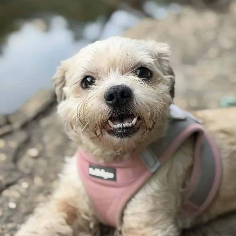 Lexi thumbnail 3
