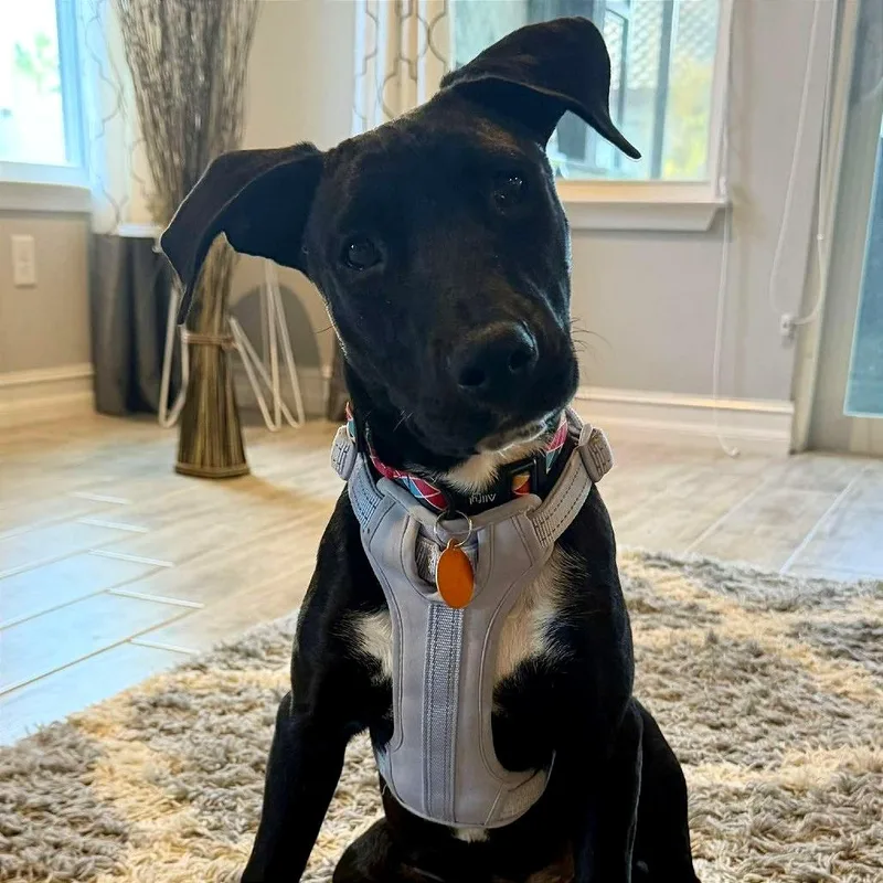 Everglades thumbnail 2