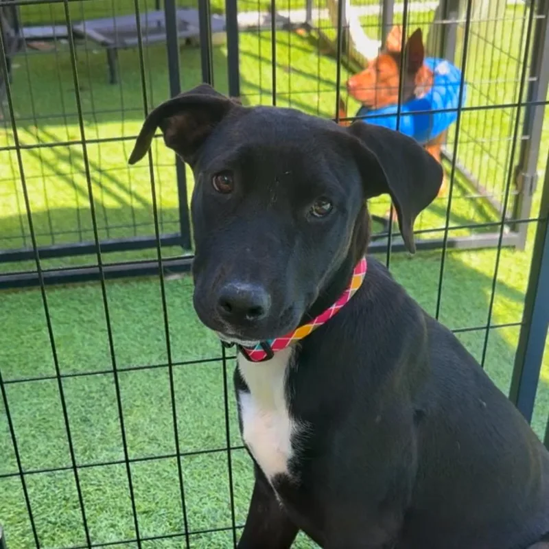 Everglades thumbnail 3