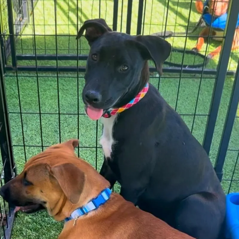 Everglades thumbnail 5