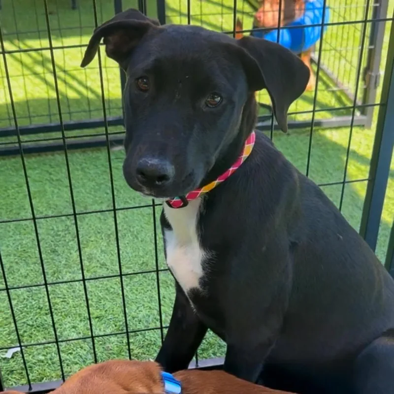 Everglades thumbnail 6