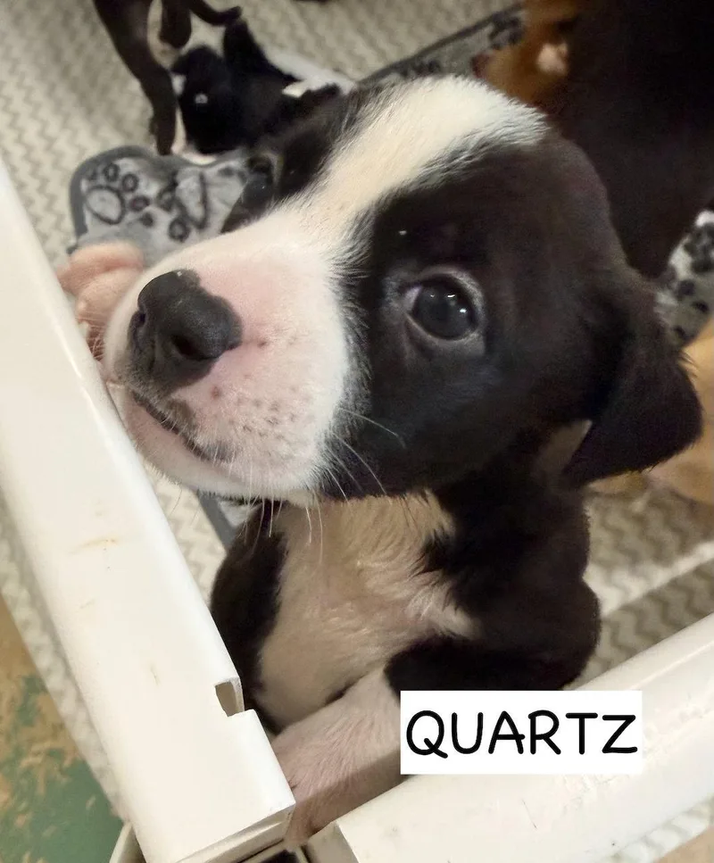 Quartz thumbnail 2