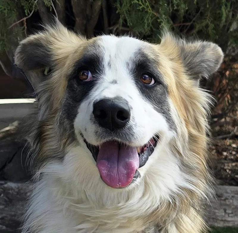 Notable Ms Natalie ~