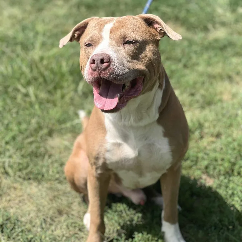 Pistachio thumbnail 2