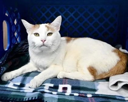 Snoop Dogg thumbnail 2