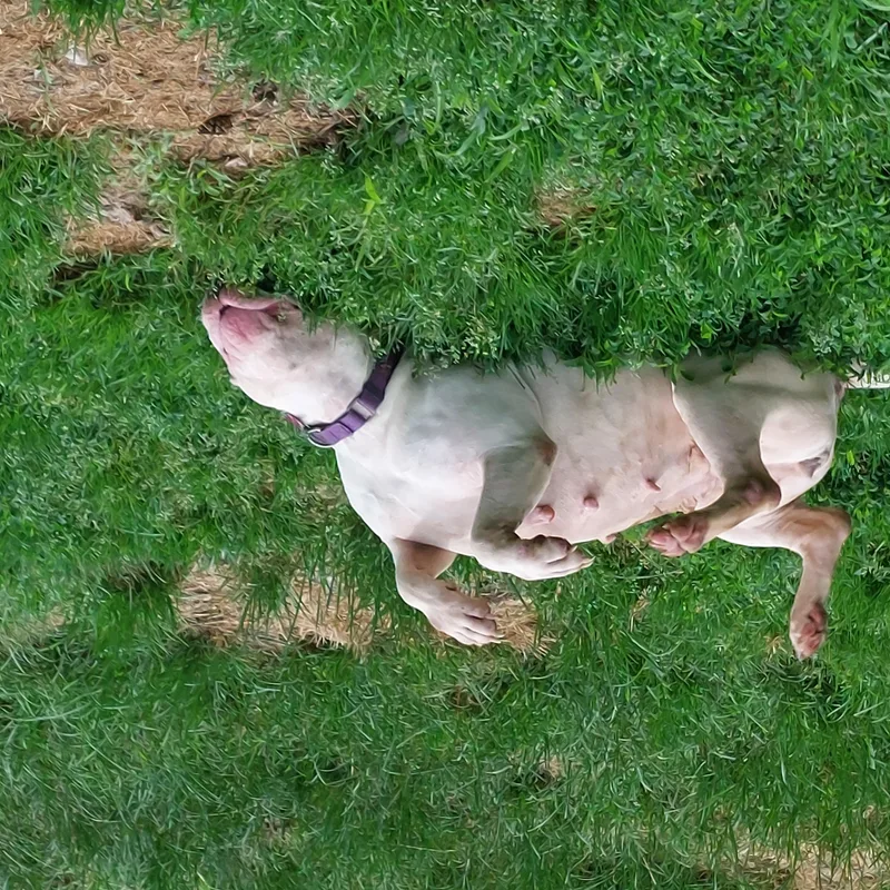 Ezmerelda thumbnail 4