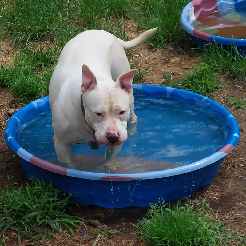 Ezmerelda thumbnail 5