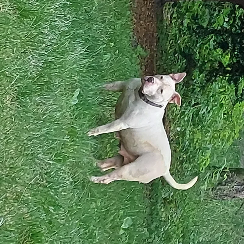 Ezmerelda thumbnail 6