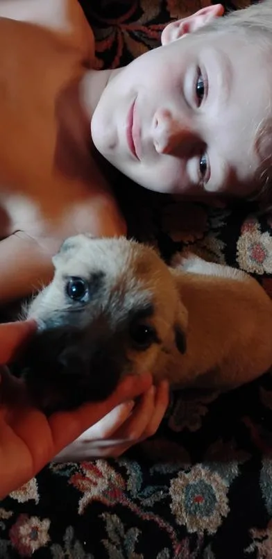 Frankie thumbnail 6