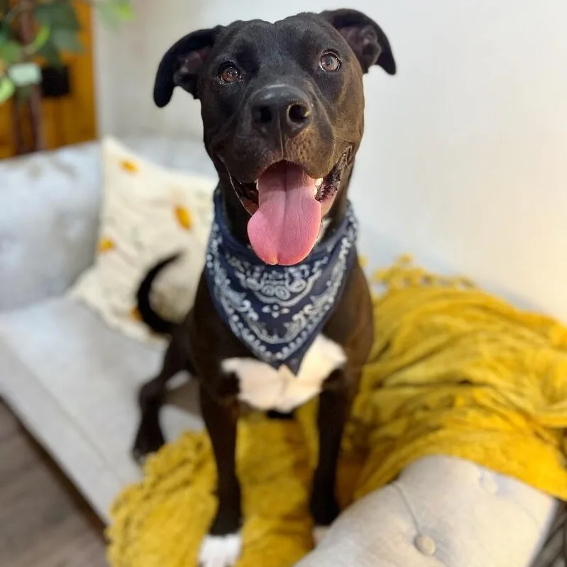 Mack Mcwiggles Your Happy thumbnail 4