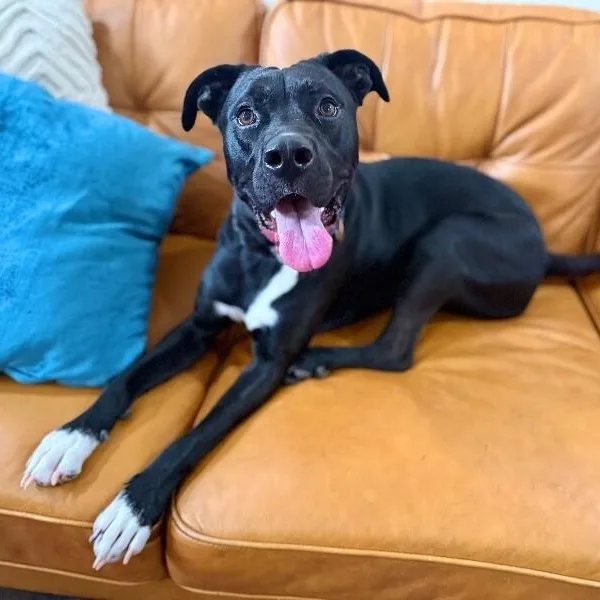 Mack Mcwiggles Your Happy thumbnail 5