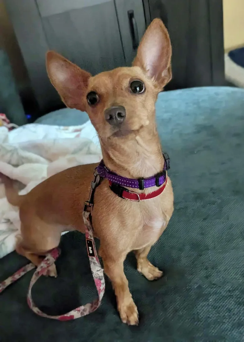 Sabine