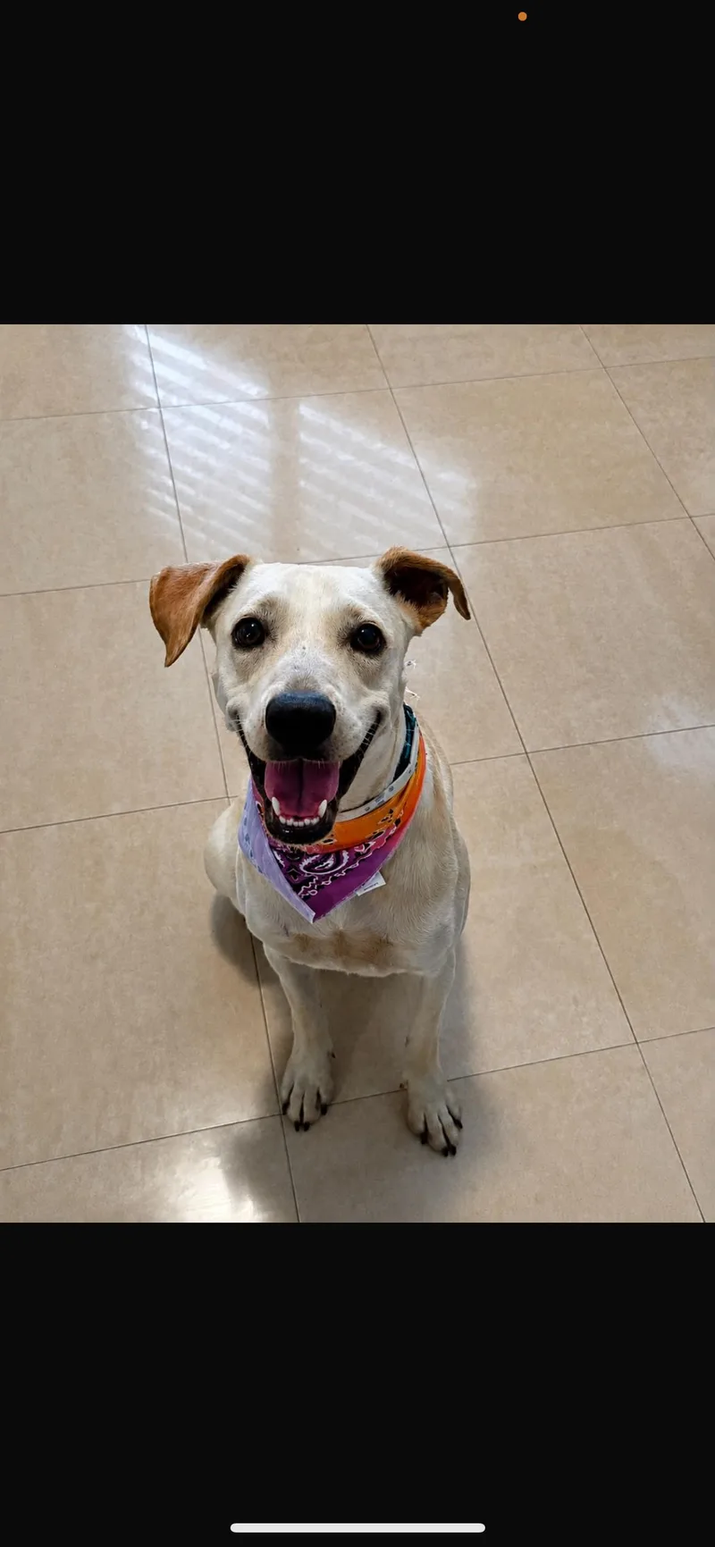 Ellie
