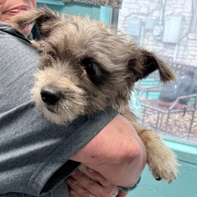 Josephine thumbnail 3