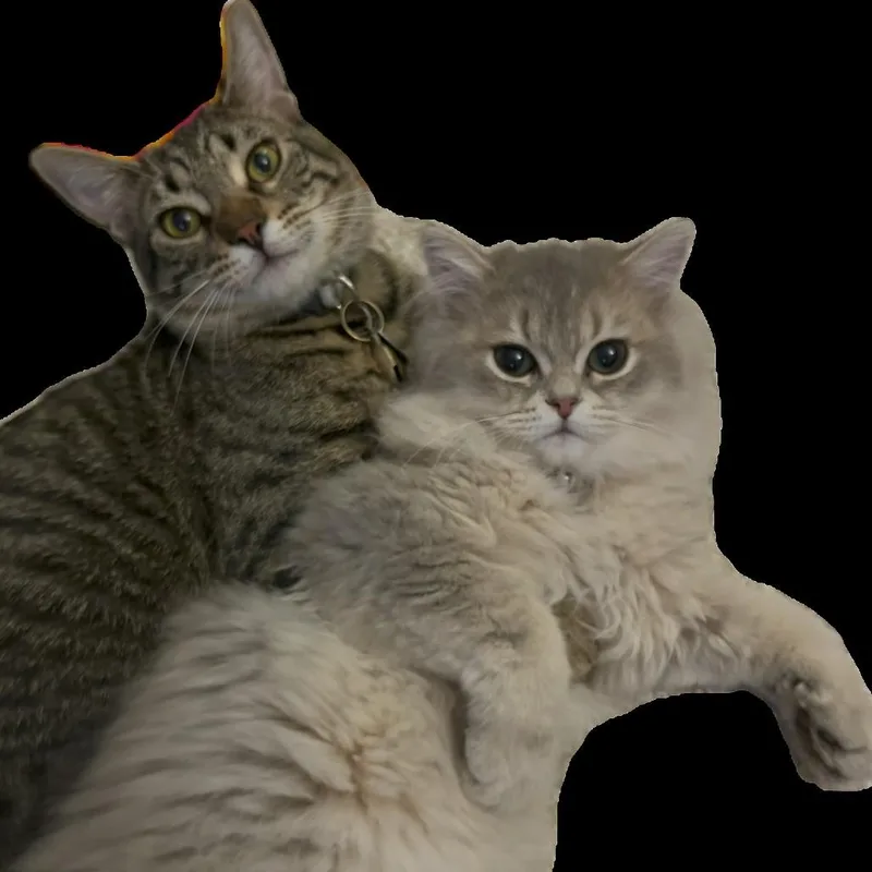 Kona thumbnail 3