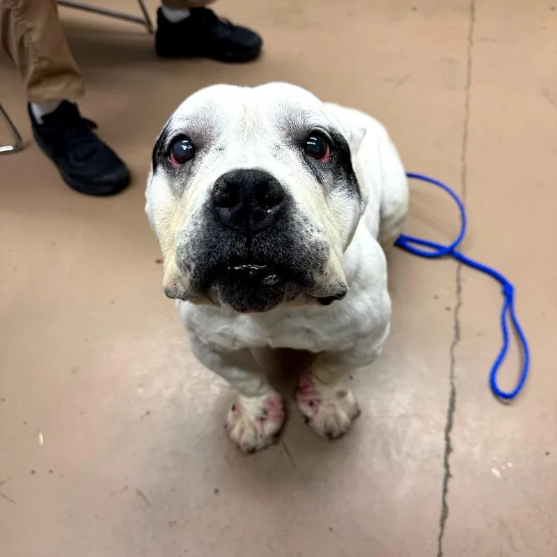 Lady Gaga thumbnail 2