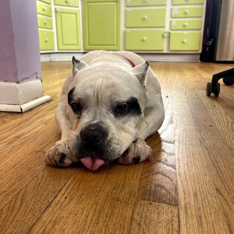 Lady Gaga thumbnail 3