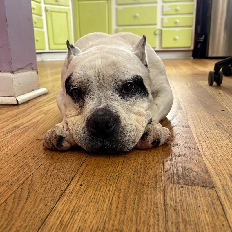 Lady Gaga thumbnail 6