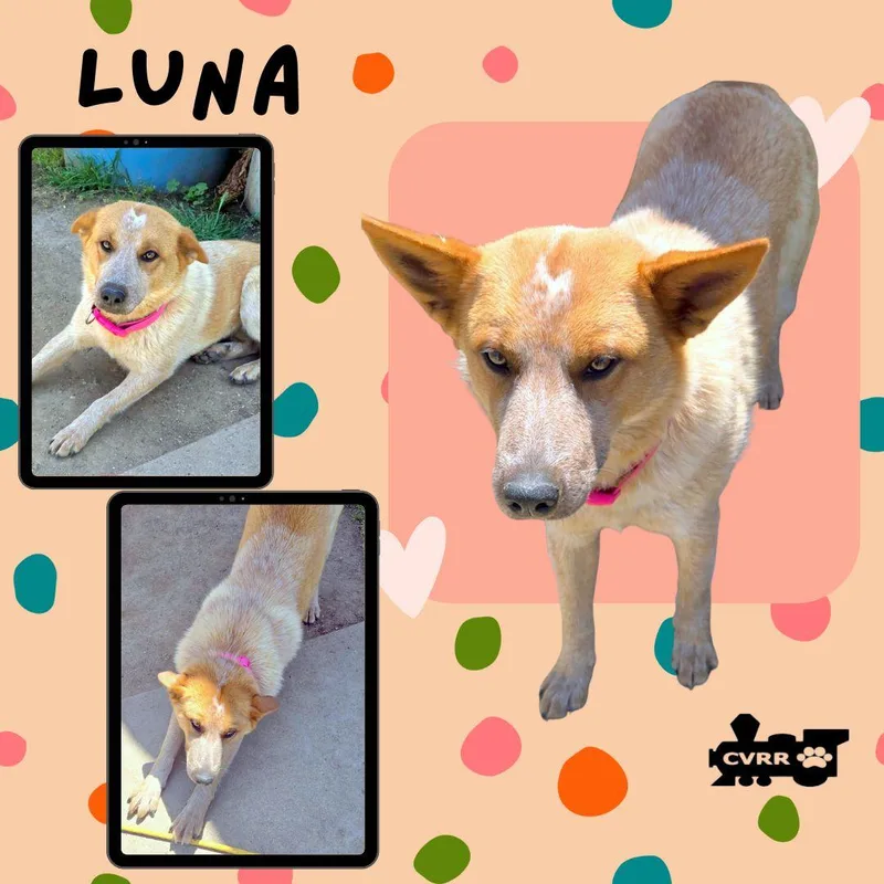 Luna