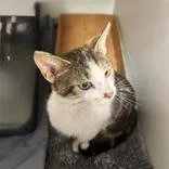 Greta thumbnail 2