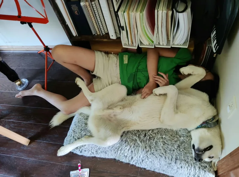 Loki thumbnail 3