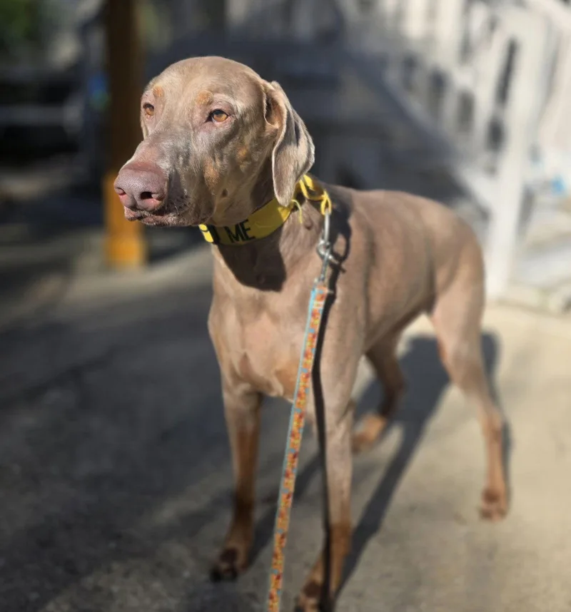 Marley Mae thumbnail 3