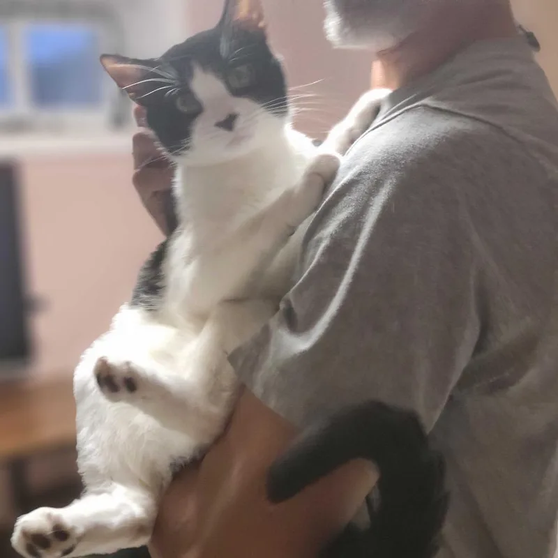 Louis Vuitton thumbnail 2