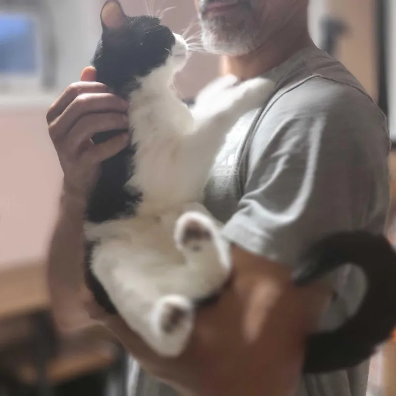 Louis Vuitton thumbnail 5