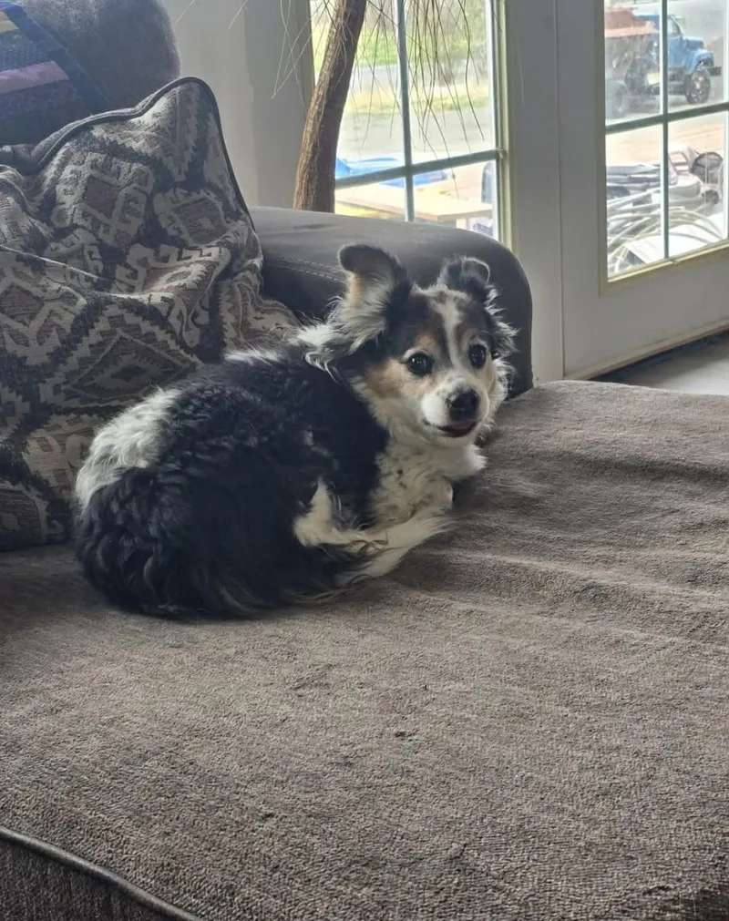 Bailey