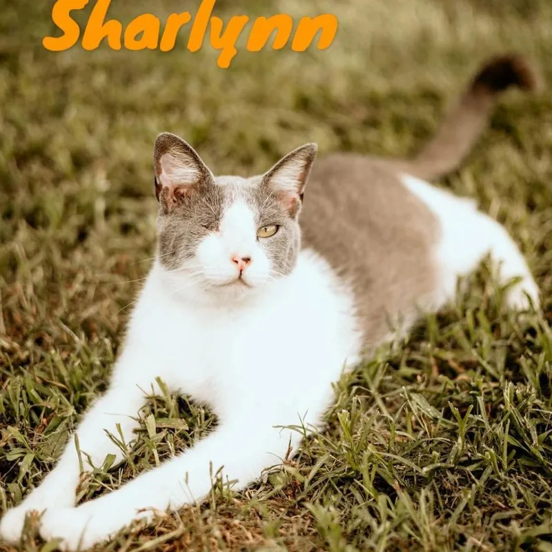 Sharlynn thumbnail 2