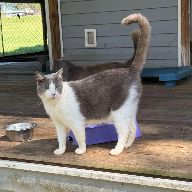 Sharlynn thumbnail 3