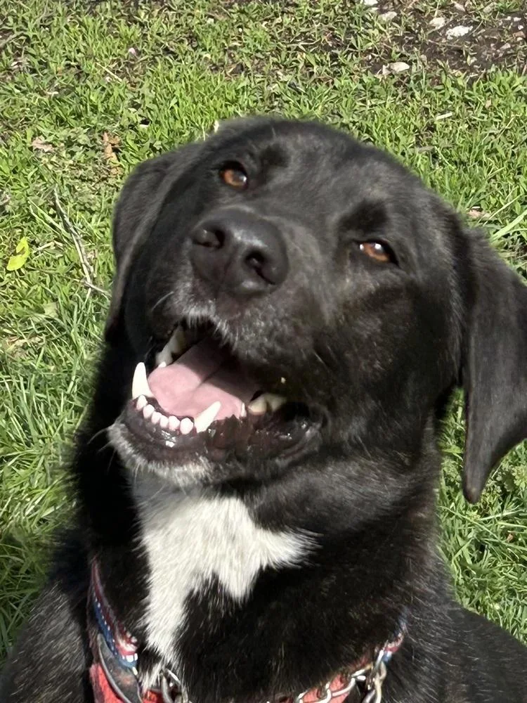 Doc Greely  Lets thumbnail 4