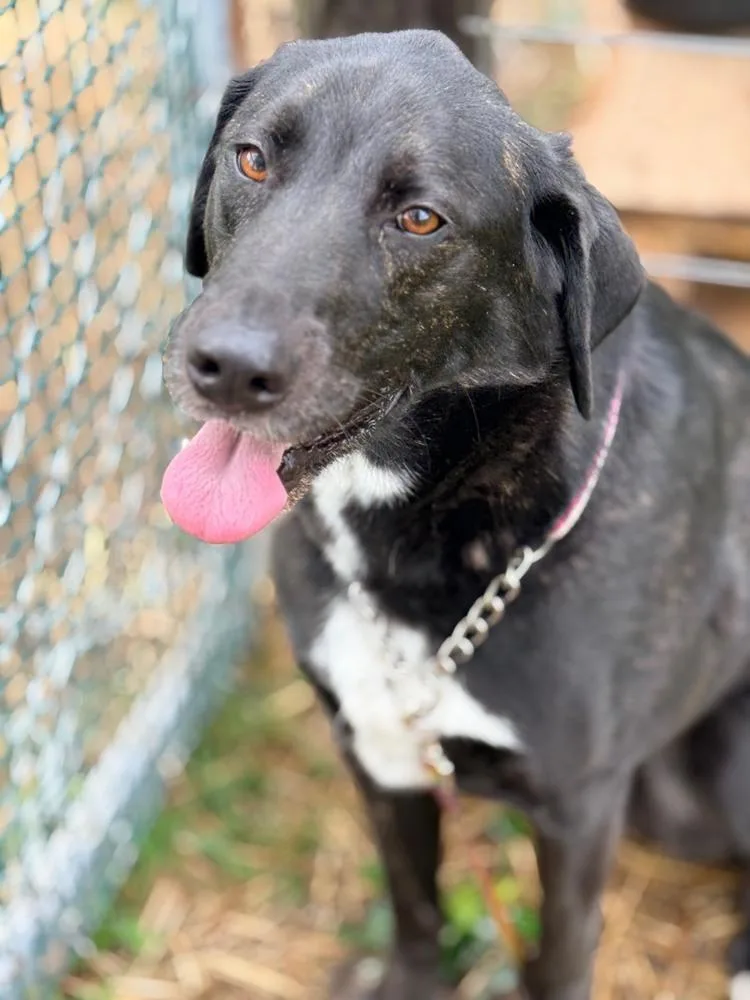 Doc Greely  Lets thumbnail 5