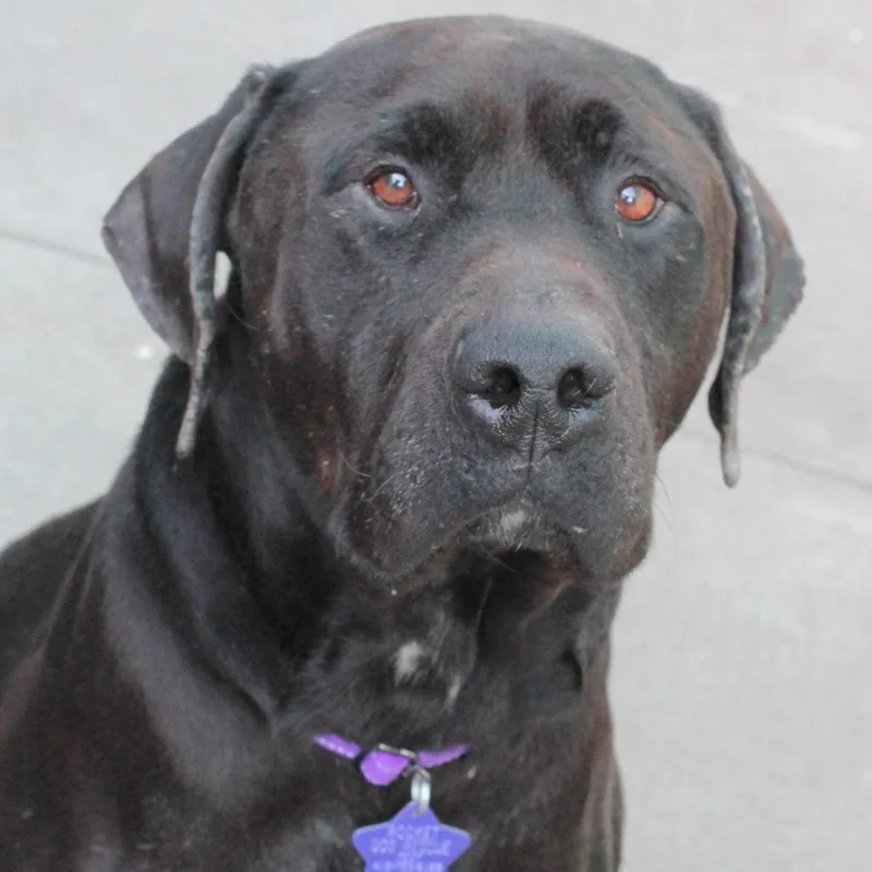 Finnegan thumbnail 6