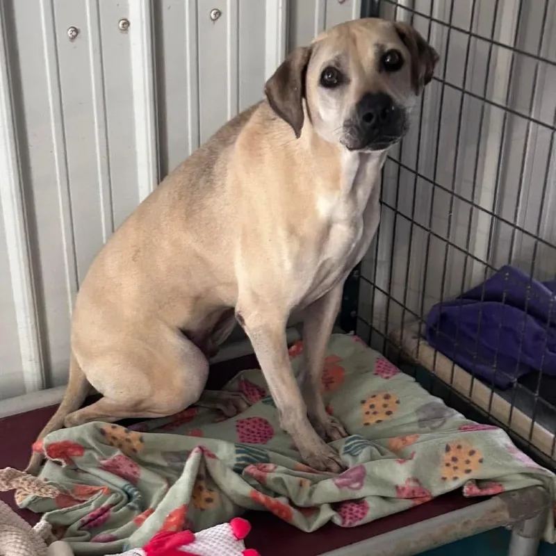 Carter Rico Iii thumbnail 4