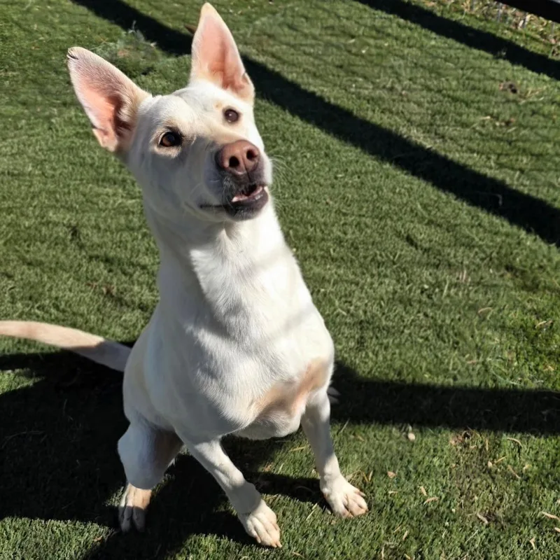 Princess Jum thumbnail 2