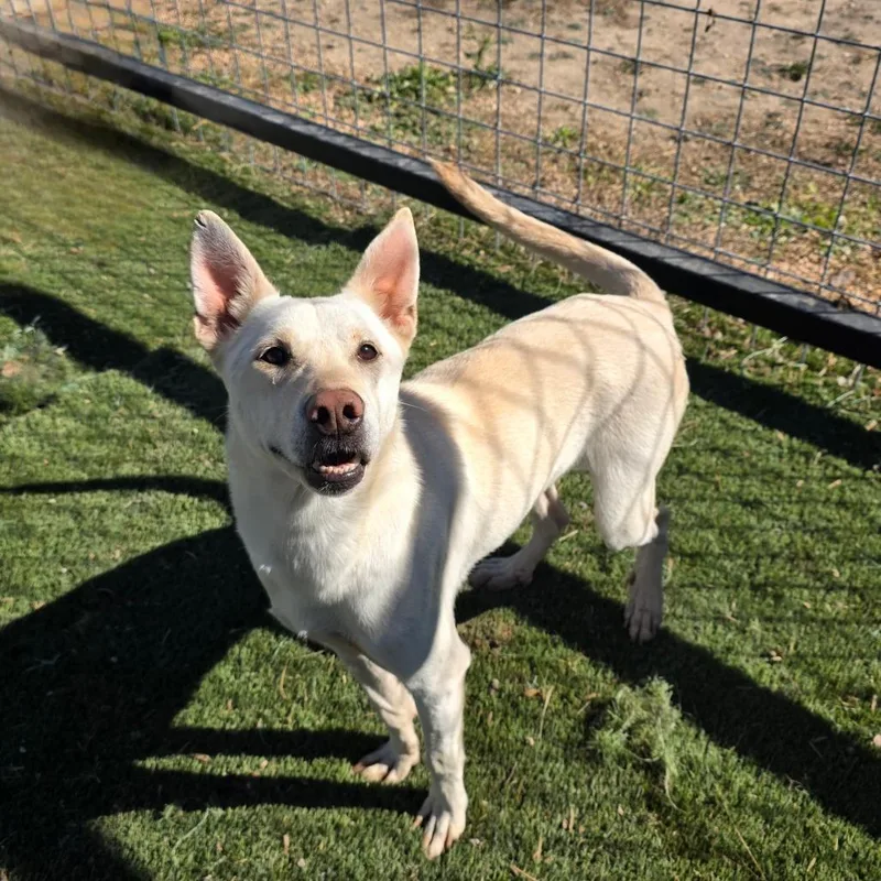 Princess Jum thumbnail 3