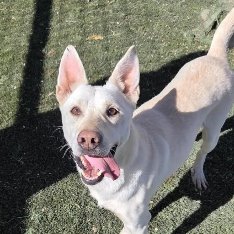 Princess Jum thumbnail 5