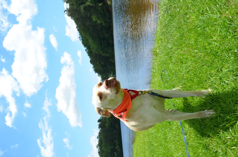 Washington thumbnail 2