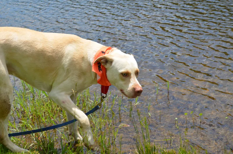 Washington thumbnail 4