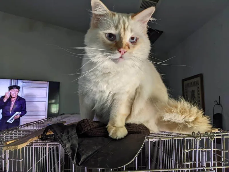 Chablais thumbnail 2