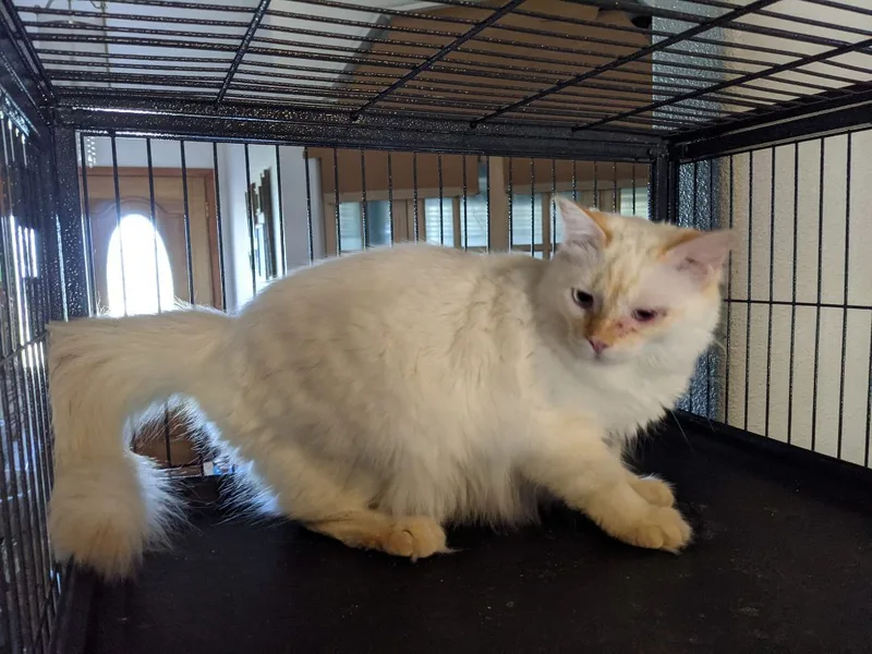 Chablais thumbnail 5